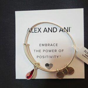 New "Embrace The Power of Positivity" Charm Bangle from Alex and Ani